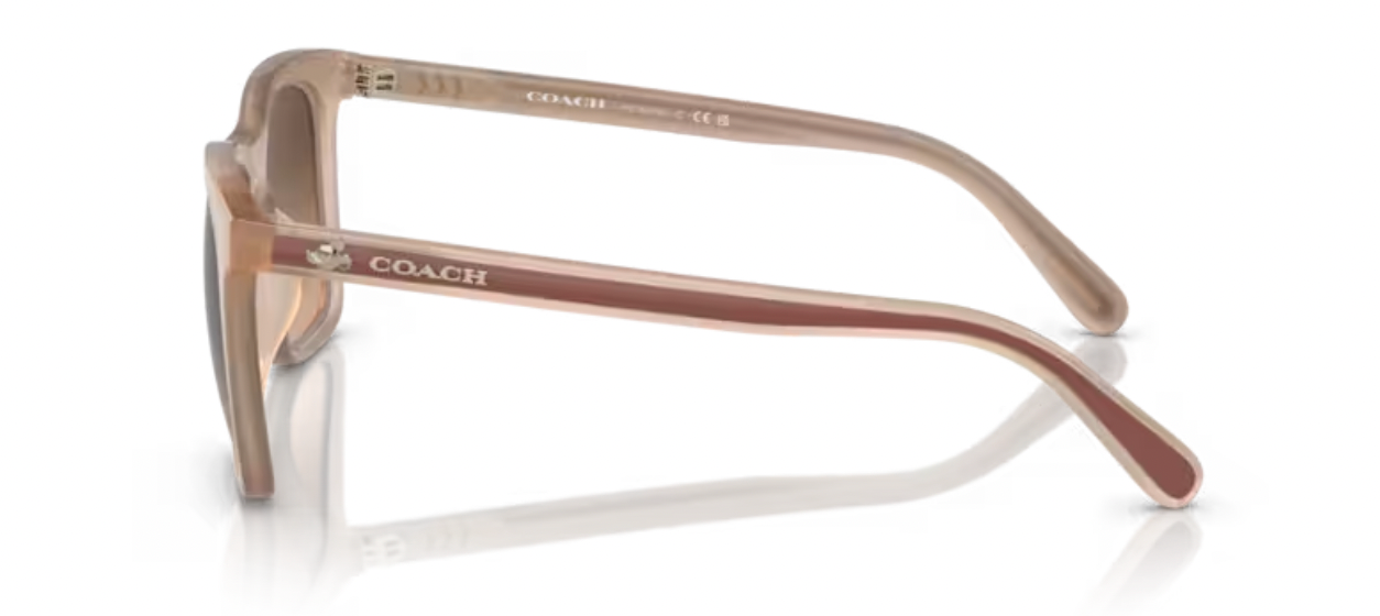 COACH X DISNEY MOUSETON