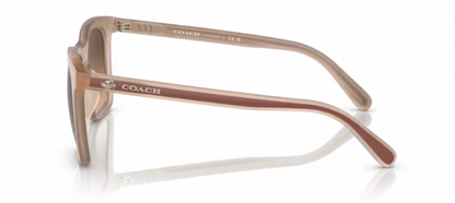 COACH X DISNEY MOUSETON