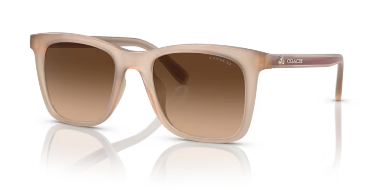 COACH X DISNEY MOUSETON